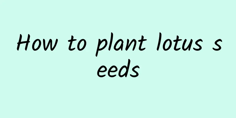How to plant lotus seeds