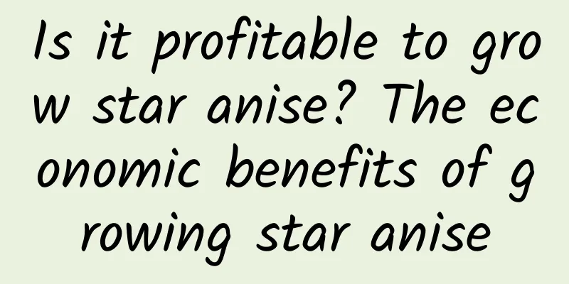 Is it profitable to grow star anise? The economic benefits of growing star anise