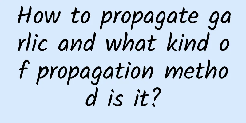 How to propagate garlic and what kind of propagation method is it?