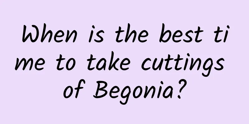 When is the best time to take cuttings of Begonia?