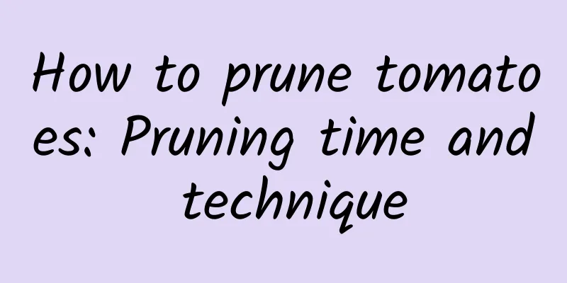 How to prune tomatoes: Pruning time and technique