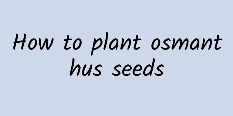 How to plant osmanthus seeds