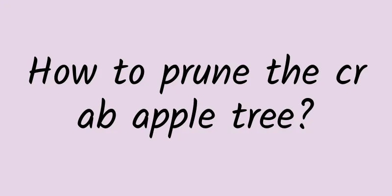 How to prune the crab apple tree?