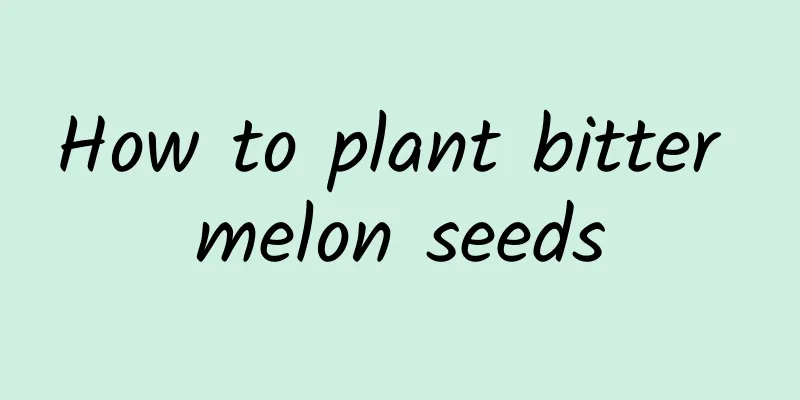 How to plant bitter melon seeds