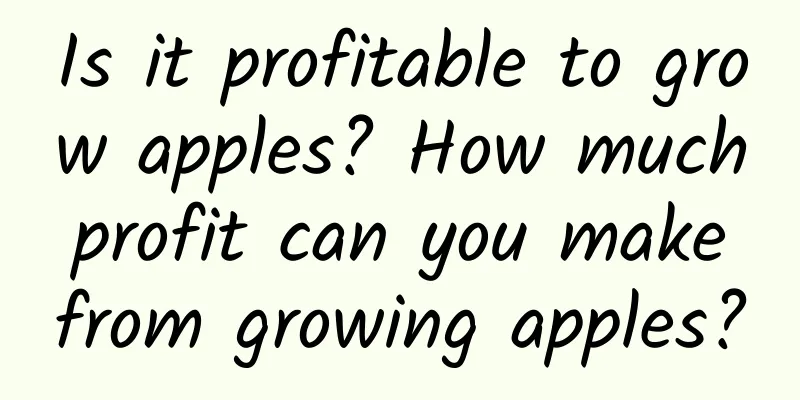 Is it profitable to grow apples? How much profit can you make from growing apples?