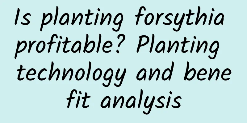Is planting forsythia profitable? Planting technology and benefit analysis