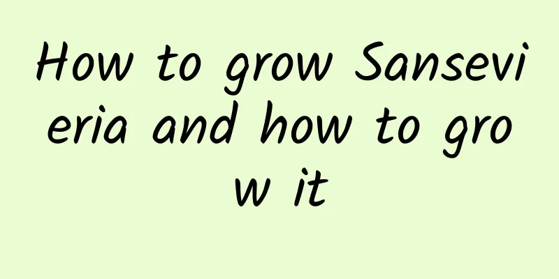 How to grow Sansevieria and how to grow it
