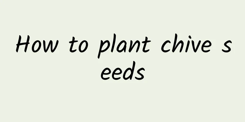 How to plant chive seeds