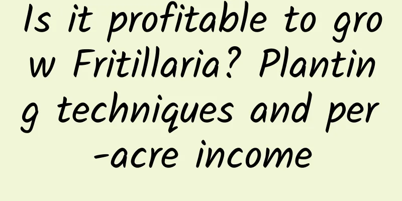 Is it profitable to grow Fritillaria? Planting techniques and per-acre income