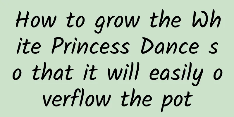 How to grow the White Princess Dance so that it will easily overflow the pot