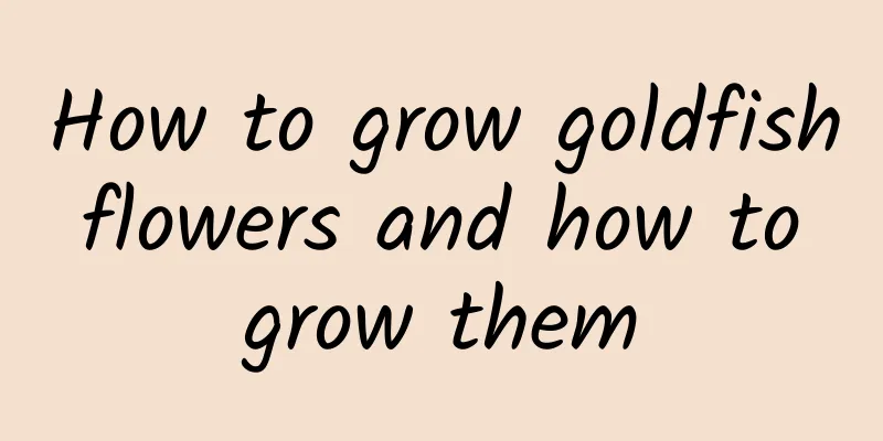 How to grow goldfish flowers and how to grow them