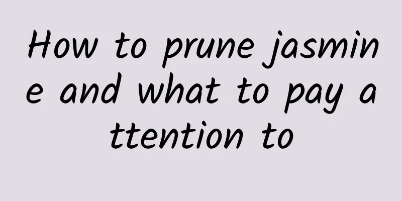How to prune jasmine and what to pay attention to
