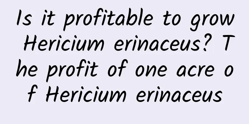 Is it profitable to grow Hericium erinaceus? The profit of one acre of Hericium erinaceus