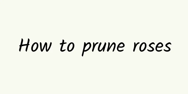How to prune roses
