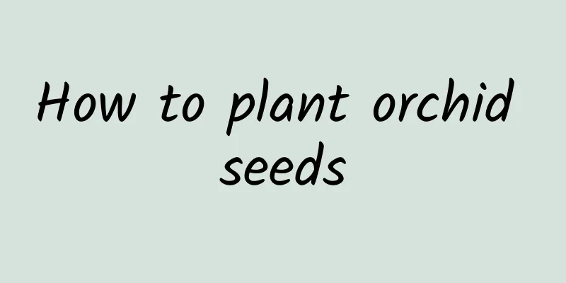 How to plant orchid seeds