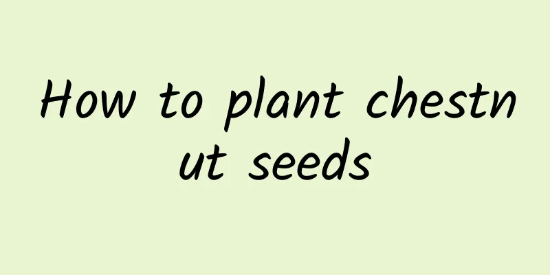 How to plant chestnut seeds