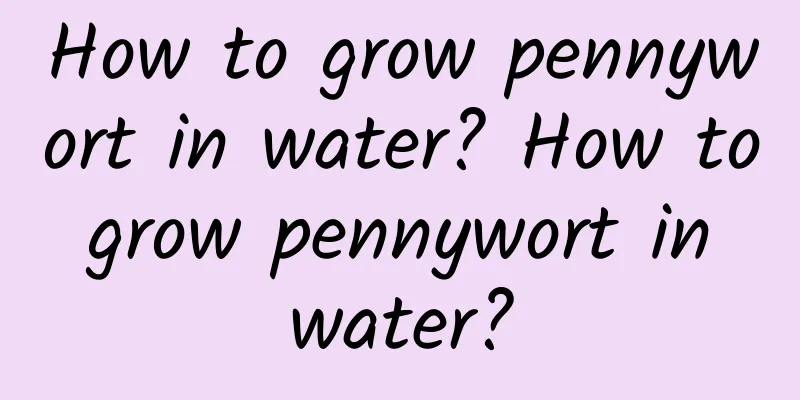How to grow pennywort in water? How to grow pennywort in water?
