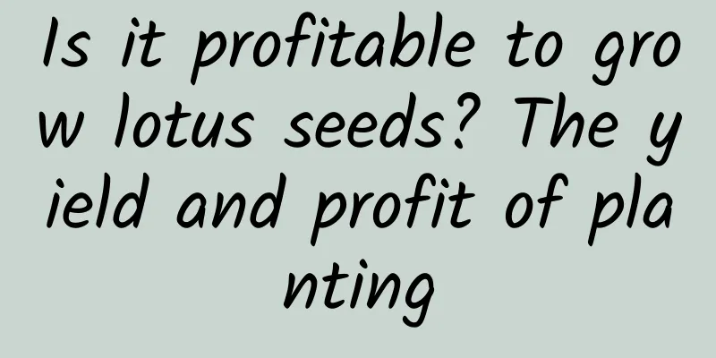Is it profitable to grow lotus seeds? The yield and profit of planting