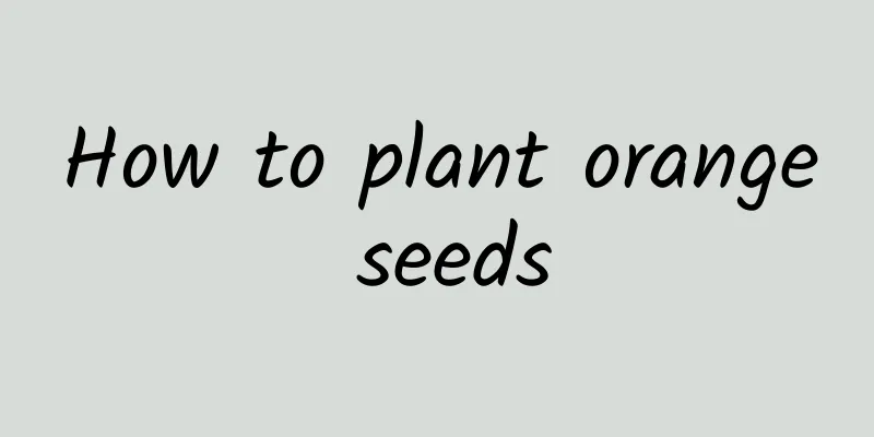 How to plant orange seeds