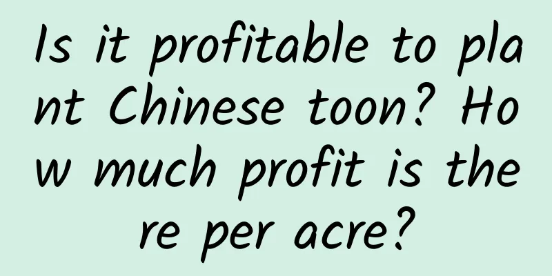 Is it profitable to plant Chinese toon? How much profit is there per acre?
