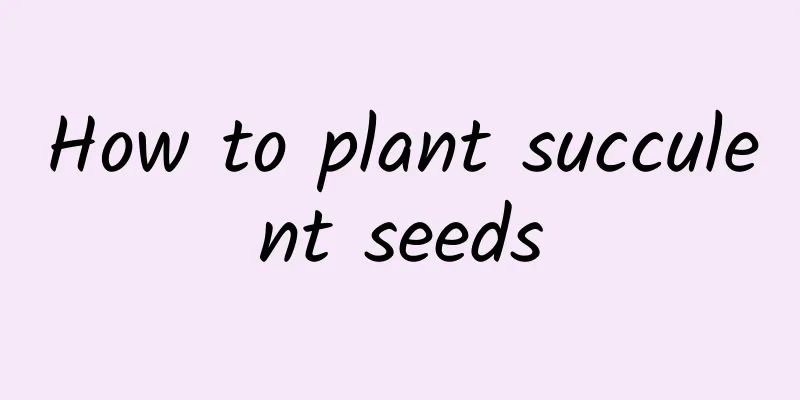How to plant succulent seeds