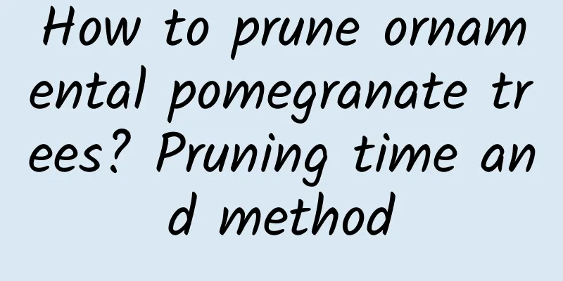 How to prune ornamental pomegranate trees? Pruning time and method