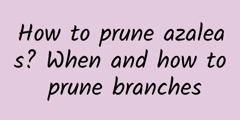How to prune azaleas? When and how to prune branches