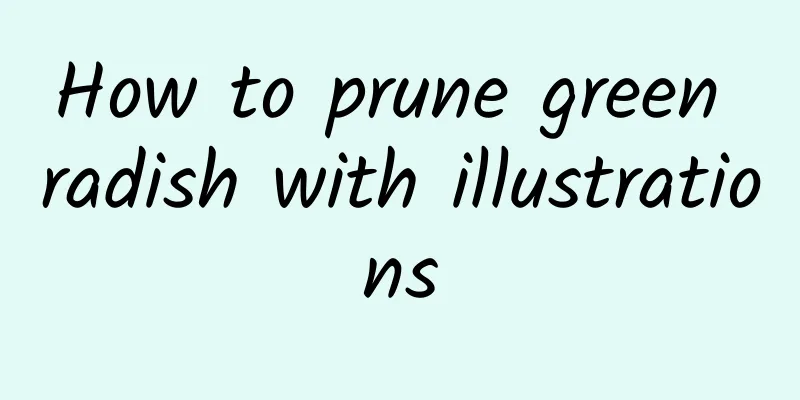 How to prune green radish with illustrations