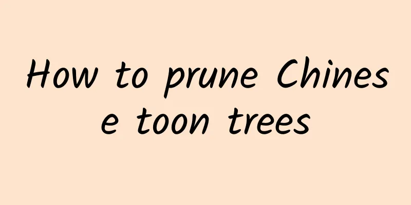 How to prune Chinese toon trees