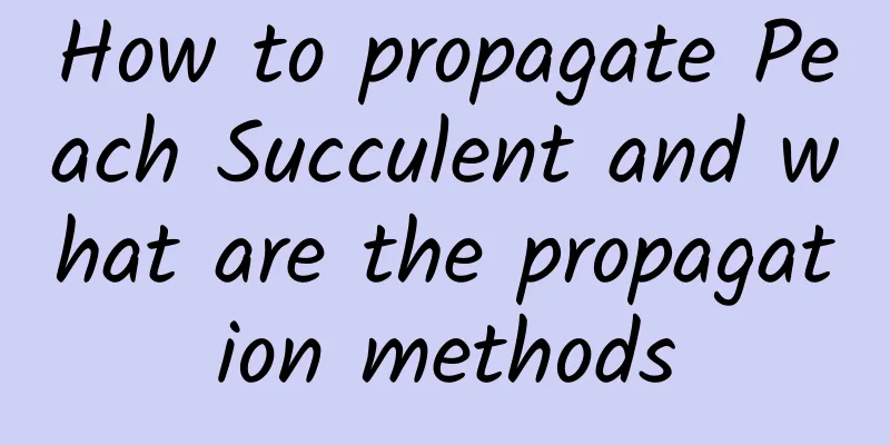 How to propagate Peach Succulent and what are the propagation methods