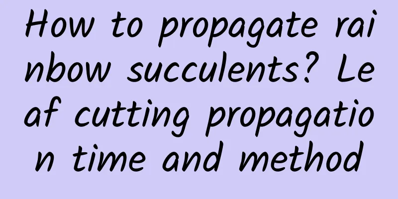 How to propagate rainbow succulents? Leaf cutting propagation time and method