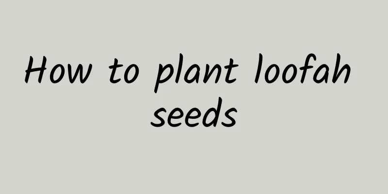 How to plant loofah seeds