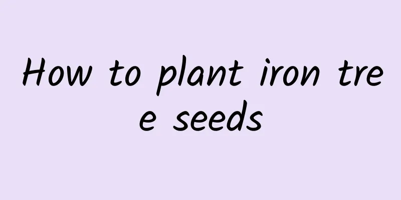 How to plant iron tree seeds