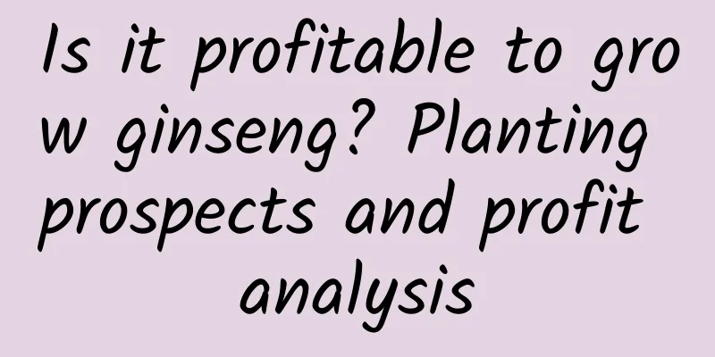 Is it profitable to grow ginseng? Planting prospects and profit analysis