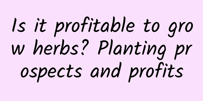 Is it profitable to grow herbs? Planting prospects and profits