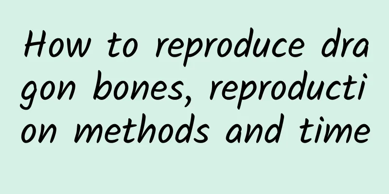 How to reproduce dragon bones, reproduction methods and time