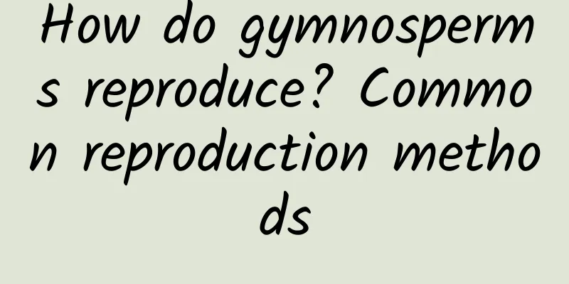 How do gymnosperms reproduce? Common reproduction methods