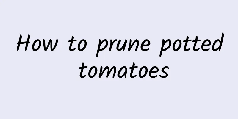 How to prune potted tomatoes