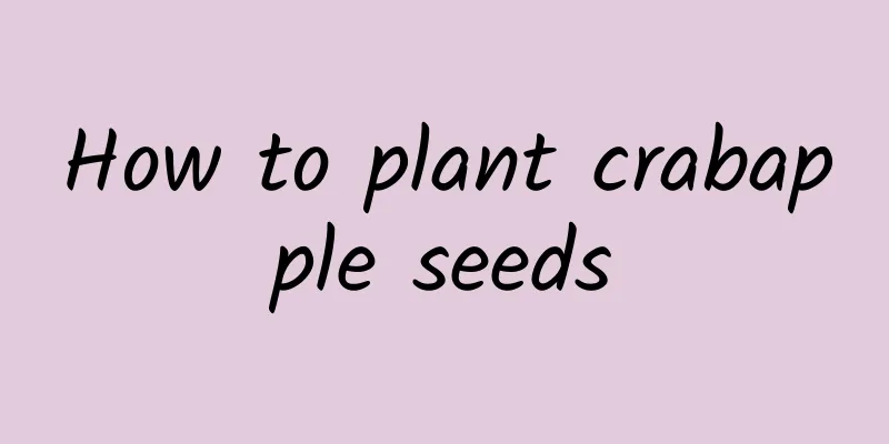 How to plant crabapple seeds