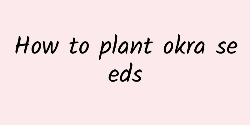How to plant okra seeds