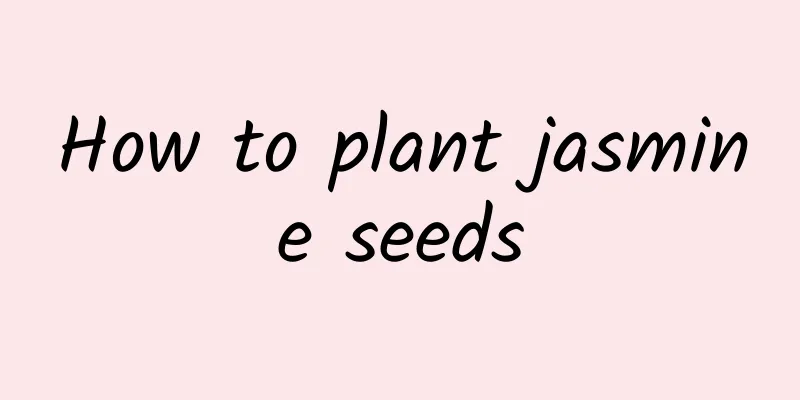How to plant jasmine seeds