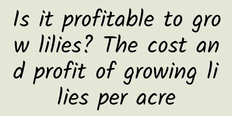 Is it profitable to grow lilies? The cost and profit of growing lilies per acre