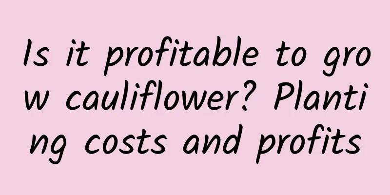Is it profitable to grow cauliflower? Planting costs and profits