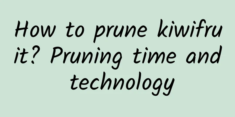 How to prune kiwifruit? Pruning time and technology