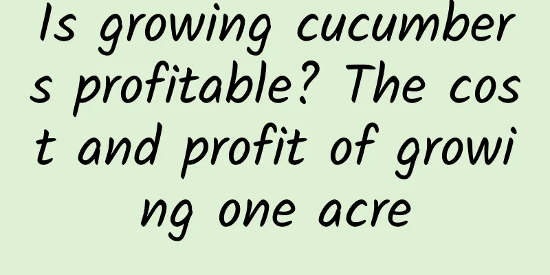 Is growing cucumbers profitable? The cost and profit of growing one acre