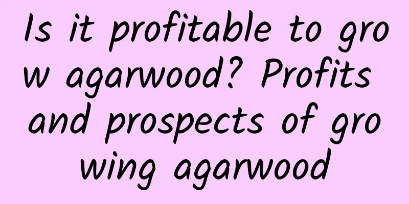 Is it profitable to grow agarwood? Profits and prospects of growing agarwood