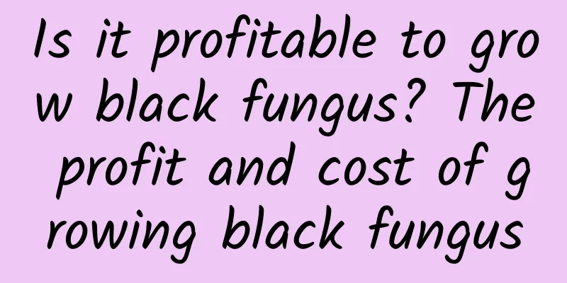 Is it profitable to grow black fungus? The profit and cost of growing black fungus
