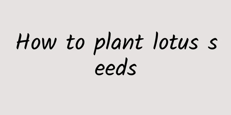 How to plant lotus seeds