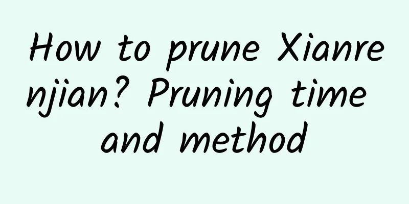 How to prune Xianrenjian? Pruning time and method