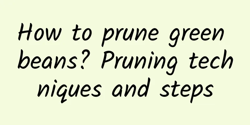 How to prune green beans? Pruning techniques and steps